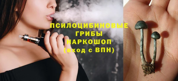 дурь Алексин