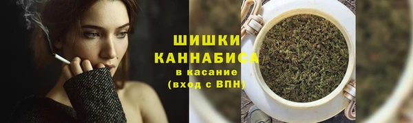 СК Алзамай