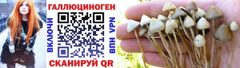 Галлюциногенные грибы ЛСД  дарнет шоп  Курчалой 