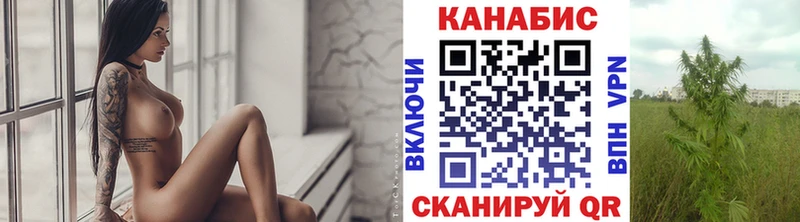 МЕГА вход  наркошоп  Курчалой  Каннабис план 